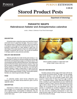 Stored Product Pests E-225-W - Purdue Extension Entomology