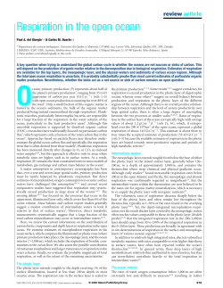 Respiration in the open ocean