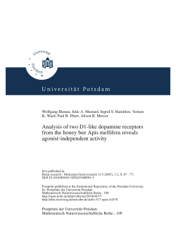 Analysis of two D1-like dopamine receptors from the honey bee Apis