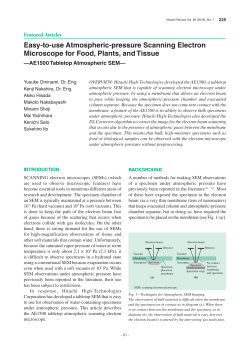 Easy-to-use Atmospheric-pressure Scanning Electron Microscope