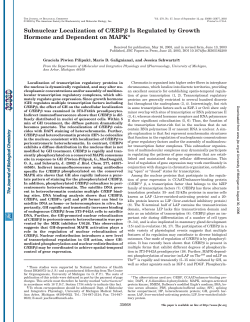 Subnuclear Localization of C/EBP Is Regulated by Growth Hormone