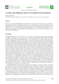 A synopsis of the multilocular species of Ixora
