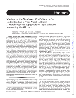 I. Morphology and topography of vagal afferents innervating the GI