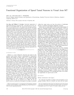 Functional Organization of Speed Tuned Neurons