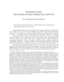 Invented Cages: The Plight of Wild Animals