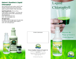 Liquid Chlorophyll Liquid Chlorophyll