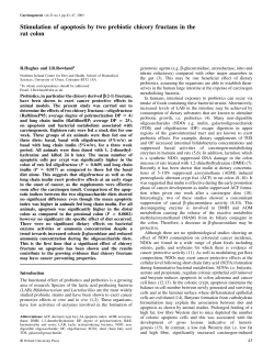 Stimulation of apoptosis by two prebiotic chicory
