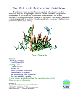 The Wetlands Restoration Guidebook