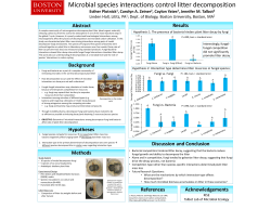 Microbial species interactions control litter