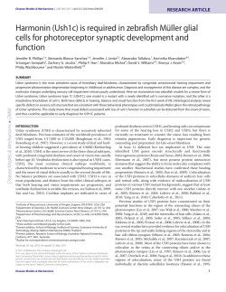 Harmonin (Ush1c) - Institute of Neuroscience
