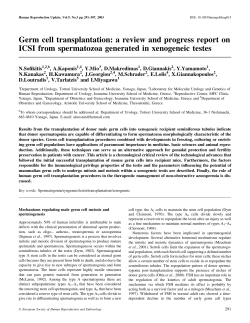Germ cell transplantation: a review and progress