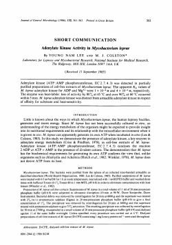 SHORT COMMUNICATION Adenylate Kinase Activity