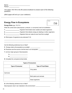 Energy Flow in Ecosystems