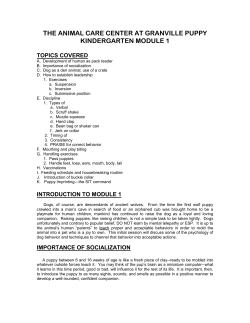 Puppy Training Module 1 of 4 - The Animal Care Center at Granville