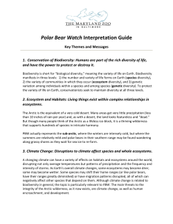 Polar Bear Watch Interpretation Guide