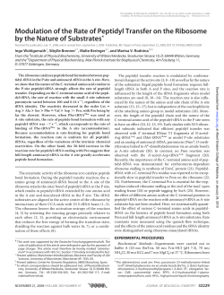 Modulation of the Rate of Peptidyl Transfer on the Ribosome by the