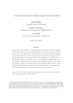 Co-investment and risk taking in private equity funds