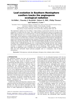Leaf evolution in Southern Hemisphere conifers tracks the