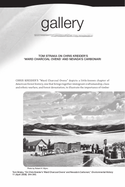 gallery - PineNut.com