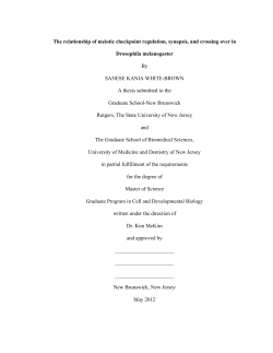 PDF-1 - RUcore - Rutgers University