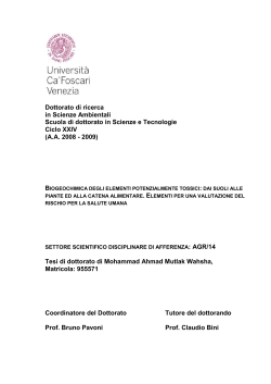 (AA 2008 - 2009) Tesi di dot