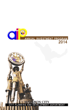 Annual Investment Program 2014