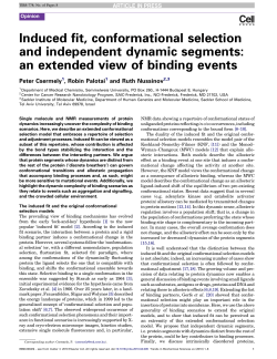 Induced fit, conformational selection and independent dynamic
