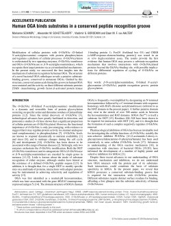 Human OGA binds substrates in a conserved peptide recognition