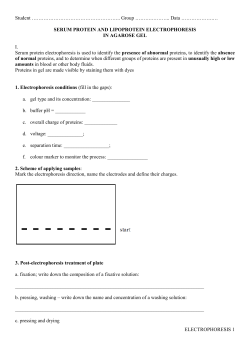 ELECTROPHORESIS 1 Student