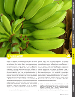 5 Banana Market - International Institute for Sustainable Development