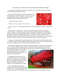 It speaks to us but perhaps not in the same manner as we read