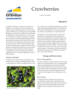 Crowberries - University of Alaska Fairbanks