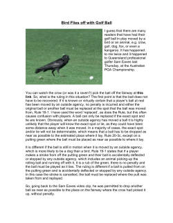 Bird Flies off with Golf Ball