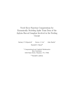 Novel Error Function Computations for Dynamically Modeling Spike