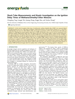 Shock Tube Measurements and Kinetic Investigation on the Ignition