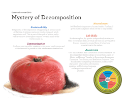 Mystery of Decomposition