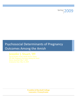 Psychosocial Determinants of Pregnancy Outcomes Among the Amish