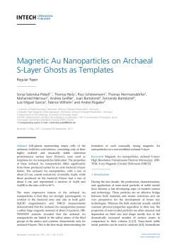 Magnetic Au Nanoparticles on Archaeal S