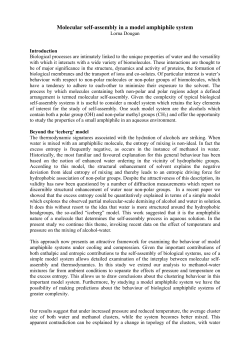 Molecular self-assembly in a model amphiphile system