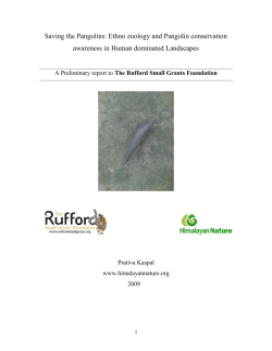 Pangolin Report - Rufford Small Grants