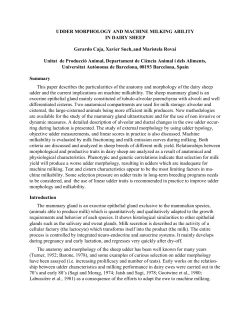 Udder morphology and machine milking ability in Dairy Sheep