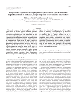 Temperature regulation in burying beetles