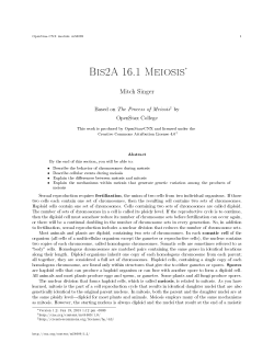 Bis2A 16.1 Meiosis