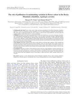 The role of pollinators in maintaining variation in flower colour in the