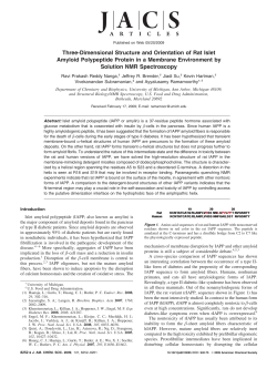 Three-Dimensional Structure and Orientation of Rat Islet Amyloid