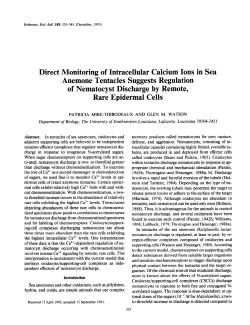 Direct Monitoring of Intracellular Calcium Ions in