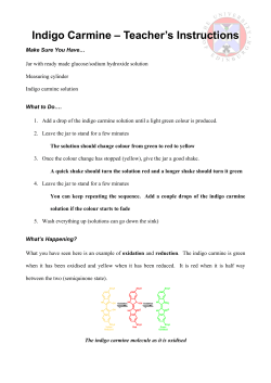 Indigo Carmine &ndash; Teacher`s Instructions