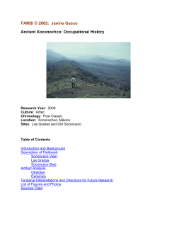 Ancient Xoconochco: Occupational History