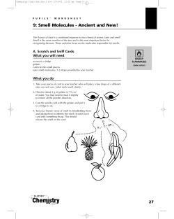 Activity  - School Science