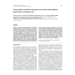 Tissue-specific and efficient expression of the human simple
